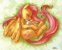 Size: 1850x1500 | Tagged: angel bunny, artist:katiramoon, cute, derpibooru import, duo, fluttershy, grass, pet, safe, sleeping