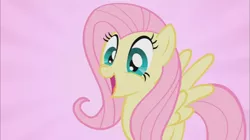 Size: 855x480 | Tagged: safe, derpibooru import, screencap, fluttershy, pegasus, pony, may the best pet win, cute, female, smiling, solo