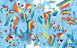 Size: 2560x1600 | Tagged: safe, artist:lightningbolt, derpibooru import, rainbow dash, pony, rainbow blitz, so much pony, vector, wallpaper