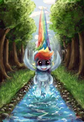 Size: 802x1163 | Tagged: artist:malicieuxx, derpibooru import, flying, rainbow dash, safe, splash, water