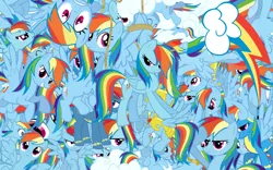 Size: 2560x1600 | Tagged: safe, artist:lightningbolt, derpibooru import, rainbow dash, pony, cutie mark, rainbow blitz, so much pony, vector, wallpaper