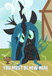 Size: 3436x5000 | Tagged: safe, artist:discommunicator, artist:kooner-cz, derpibooru import, queen chrysalis, changeling, changeling queen, crossed hooves, cute, cutealis, drink, fangs, female, image macro, looking at you, ponyville, reaction image, smiling, solo, you must be new here