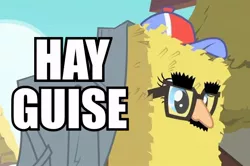 Size: 600x399 | Tagged: caption, derpibooru import, disguise, edit, edited screencap, glasses, groucho mask, hay, hay bale, hay guise, image macro, mask, party of one, pinkie pie, pun, safe, screencap