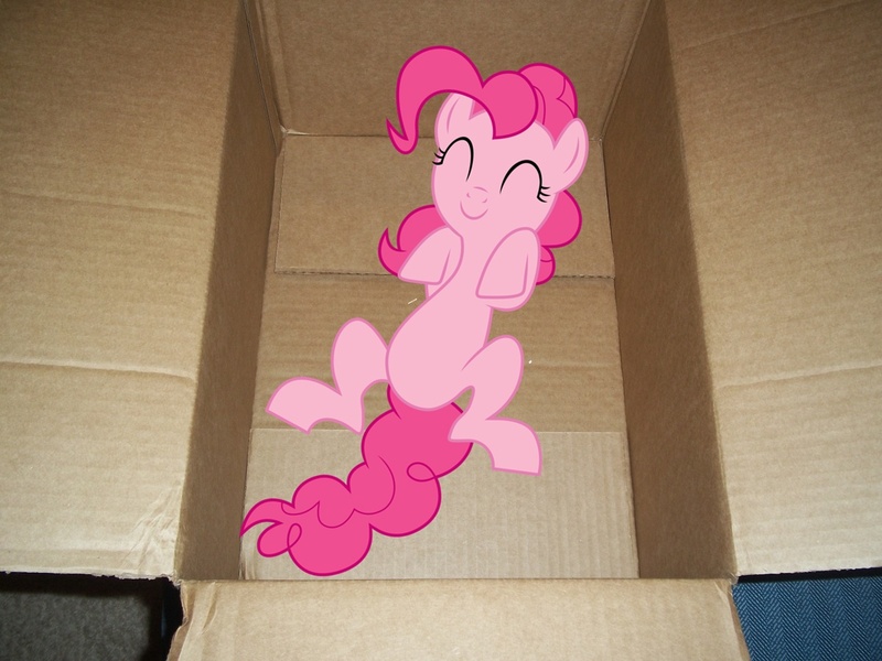 Size: 1200x900 | Tagged: safe, derpibooru import, pinkie pie, pony, box, irl, photo, ponies in real life, pony in a box, vector