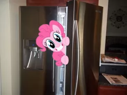 Size: 1200x900 | Tagged: safe, derpibooru import, pinkie pie, pony, irl, photo, ponies in real life, refrigerator, vector