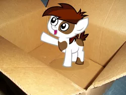 Size: 1200x900 | Tagged: safe, derpibooru import, pipsqueak, pony, box, irl, photo, ponies in real life, pony in a box, vector