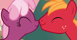 Size: 892x467 | Tagged: safe, derpibooru import, screencap, big macintosh, cheerilee, earth pony, pony, hearts and hooves day (episode), animated, boop, cheeribetes, cheerimac, cute, eyes closed, female, hearts and hooves day, love poison, macabetes, male, mare, nose wrinkle, noseboop, nuzzling, shipping, smiling, stallion, straight