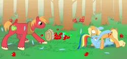 Size: 6000x2800 | Tagged: suggestive, artist:sotoco, derpibooru import, applejack, big macintosh, rainbow dash, earth pony, pegasus, pony, apple, appledash, crash landing, eyes closed, feather, female, frown, lesbian, lesbian in front of boys, lip bite, looking at her butt, male, on back, open mouth, rainbow crash, scrunchy face, shipping, surprised, wavy mouth, wide eyes