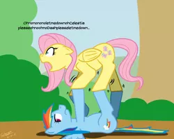 Size: 800x640 | Tagged: artist:scherzo, balancing, derpibooru import, floppy ears, fluttershy, frown, on back, open mouth, rainbow dash, safe, scared, shivering, unamused, wide eyes