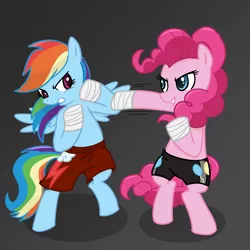 Size: 1000x1000 | Tagged: safe, artist:madmax, derpibooru import, pinkie pie, rainbow dash, earth pony, pegasus, pony, bandage, bipedal, blue eyes, blue fur, blue wings, boxing, boxing shorts, clothes, confident, dark grey background, determined, female, fight, gym shorts, hoof wraps, image, mare, martial arts, multicolored hair, multicolored mane, multicolored tail, pink eyes, pink fur, pink mane, pink tail, png, rainbow hair, rainbow tail, serious, shadow, shorts, smiling, smirk, tomboy, wings