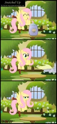 Size: 1248x2708 | Tagged: safe, artist:toxic-mario, derpibooru import, derpy hooves, fluttershy, pegasus, pony, comic, duo, duo female, female, fluttershy's cottage, mare, muffin, photoshop