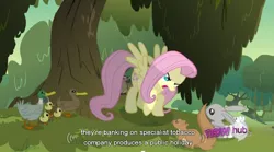 Size: 852x473 | Tagged: badger, chipmunk, derpibooru import, duck, duckling, fluttershy, hub logo, hurricane fluttershy, mouse, rabbit, safe, screencap, squirrel, youtube caption