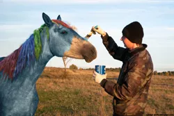 Size: 720x482 | Tagged: artist:el-yeguero, derpibooru import, horse, horse cosplay, human, irl, irl human, paint, paint on fur, photo, photoshop, rainbow dash, safe