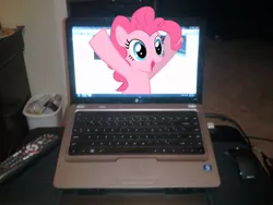 Size: 1200x900 | Tagged: source needed, safe, derpibooru import, pinkie pie, pony, breaking the fourth wall, computer, fourth wall destruction, irl, laptop computer, photo, ponies in real life, vector, windows, windows 7