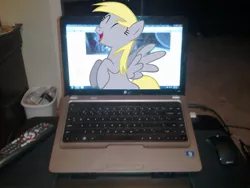 Size: 1200x900 | Tagged: safe, derpibooru import, derpy hooves, pony, breaking the fourth wall, computer, irl, laptop computer, photo, ponies in real life, vector, windows, windows 7