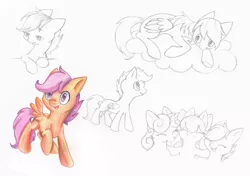 Size: 758x534 | Tagged: apple bloom, artist:lightning-stars, cloud, cutie mark crusaders, derpibooru import, g4, safe, scootaloo, simple background, sketch, sweetie belle