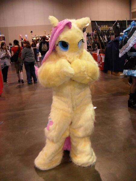 Size: 500x667 | Tagged: cosplay, derpibooru import, fluttershy, fursuit, human, irl, irl human, photo, safe