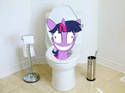 Size: 430x320 | Tagged: safe, derpibooru import, twilight sparkle, pony, but why, insanity, irl, photo, ponies in real life, solo, toilet, toilet sparkle, twilight snapple, vector