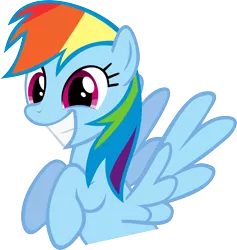 Size: 4500x4753 | Tagged: safe, artist:obtuselolcat, derpibooru import, rainbow dash, pegasus, pony, absurd resolution, cute, dashabetes, grin, happy, recolor, simple background, smiling, solo, transparent background, vector