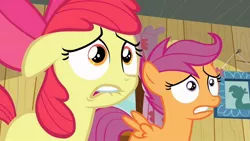 Size: 1280x720 | Tagged: safe, derpibooru import, screencap, apple bloom, scootaloo, earth pony, pegasus, pony, hearts and hooves day (episode), female, filly, lip bite, reaction image