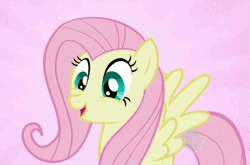 Size: 955x631 | Tagged: safe, derpibooru import, screencap, fluttershy, pegasus, pony, may the best pet win, all new, animated, blinking, cute, eye shimmer, happy, hub logo, pink background, shyabetes, simple background, spread wings, text, wings
