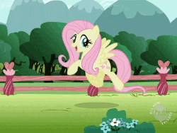 Size: 800x600 | Tagged: safe, derpibooru import, screencap, fluttershy, pegasus, pony, may the best pet win, animated, female, gif, hub logo, looking at you, mare, outdoors, prancing, solo, spread wings, wings