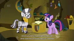 Size: 853x471 | Tagged: bridle gossip, derpibooru import, ei, frown, gritted teeth, hub logo, mexico, safe, screencap, smiling, twilight flopple, twilight sparkle, wat, youtube caption, zebra, zecora