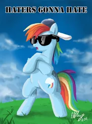 Size: 700x941 | Tagged: safe, artist:projectzuel, derpibooru import, rainbow dash, pegasus, pony, bipedal, cloud, cloudy, crossed hooves, female, grass, grass field, haters gonna hate, mare, meme, open mouth, signature, solo, sunglasses