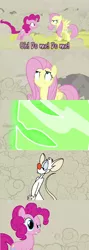 Size: 960x2699 | Tagged: comic, crossover, derpibooru import, doomie, fluttershy, pinkie pie, pinky, pinky and the brain, safe
