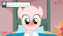 Size: 1280x720 | Tagged: ask the crusaders, blushing, derpibooru import, earth pony sweetie belle, safe, sweetie bald, sweetie belle, tumblr