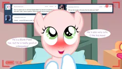 Size: 1280x720 | Tagged: ask the crusaders, blushing, derpibooru import, earth pony sweetie belle, safe, sweetie bald, sweetie belle, tumblr