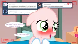 Size: 1280x720 | Tagged: ask the crusaders, blushing, derpibooru import, earth pony sweetie belle, floppy ears, safe, sweetie bald, sweetie belle, tumblr