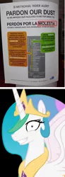 Size: 576x1560 | Tagged: derpibooru import, meme, meta, miami, princess celestia, princess molestia, random, safe, spanish, unintended