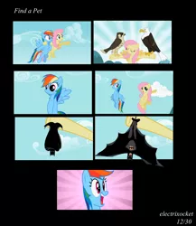 Size: 2000x2300 | Tagged: safe, artist:electrixocket, derpibooru import, screencap, fluttershy, rainbow dash, bald eagle, eagle, falcon, pegasus, pony, may the best pet win, batman, comic, crossover, female, find a pet, high res, mare, peregrine falcon, pet, photoshop