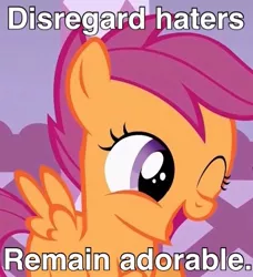 Size: 457x502 | Tagged: cute, cutealoo, derpibooru import, disregard haters, happy, image macro, meme, open mouth, safe, scootaloo, smiling, solo, wink