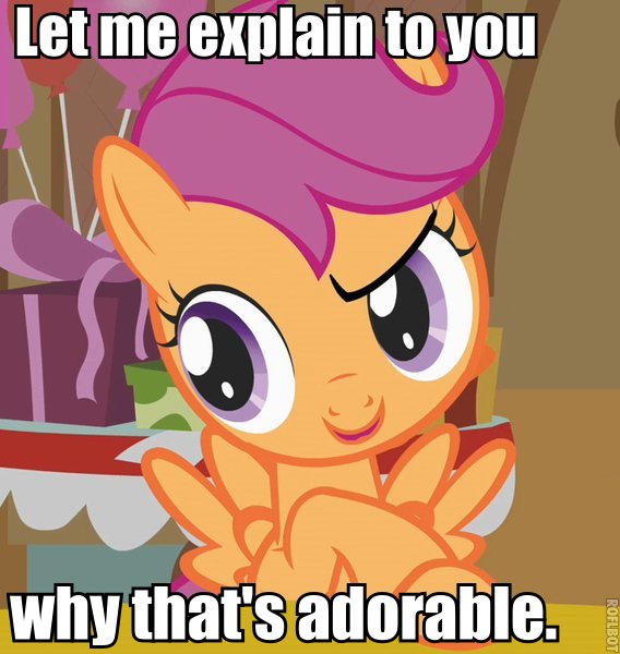 Size: 568x600 | Tagged: cute, cutealoo, derpibooru import, image macro, safe, scootaloo