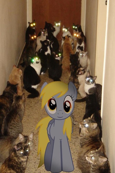 Size: 468x700 | Tagged: safe, derpibooru import, edit, derpy hooves, cat, pegasus, pony, female, mare