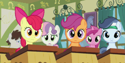 Size: 623x317 | Tagged: safe, derpibooru import, screencap, apple bloom, ruby pinch, scootaloo, shady daze, sweetie belle, truffle shuffle, earth pony, pony, ponyville confidential, animated, blinking, colt, cutie mark crusaders, looking at you, loop, male, reaction image