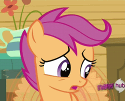 Size: 502x405 | Tagged: animated, cropped, derpibooru import, flapping, hub logo, loop, ponyville confidential, safe, scootaloo, screencap, solo, talking