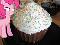 Size: 1600x1200 | Tagged: safe, derpibooru import, pinkie pie, pony, cupcake, irl, photo, ponies in real life