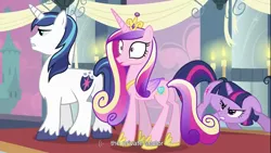 Size: 1366x768 | Tagged: safe, derpibooru import, edit, edited screencap, screencap, princess cadance, shining armor, twilight sparkle, alicorn, pony, unicorn, a canterlot wedding, butt, caption, female, floppy ears, frown, gritted teeth, male, mare, plot, stallion, standing, surprised, wide eyes, youtube caption, youtube link