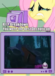 Size: 564x775 | Tagged: safe, derpibooru import, fluttershy, pony, breakdown, exploitable meme, fluttercry, meme, transformers, tv meme