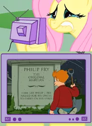 Size: 563x771 | Tagged: safe, derpibooru import, fluttershy, pony, crying, exploitable meme, fluttercry, futurama, grave, meme, philip j. fry, tv meme