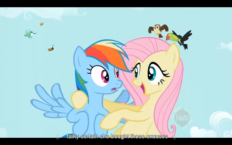 Size: 1024x640 | Tagged: derpibooru import, fluttershy, may the best pet win, rainbow dash, safe, screencap, youtube caption