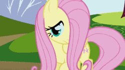 Size: 325x183 | Tagged: safe, derpibooru import, screencap, fluttershy, bird, blue jay, pegasus, pony, friendship is magic, animated, chickadee (bird), dilated pupils, excited, flapping, flying, open mouth, smiling, solo, songbird, spread wings, talking