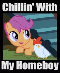 Size: 523x640 | Tagged: safe, derpibooru import, edit, edited screencap, screencap, scootaloo, bird, chicken, pegasus, pony, stare master, cropped, female, filly, image macro, scootachicken