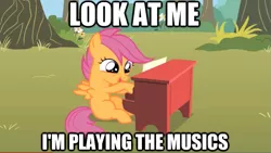 Size: 623x351 | Tagged: derpibooru import, image macro, piano, safe, scootaloo