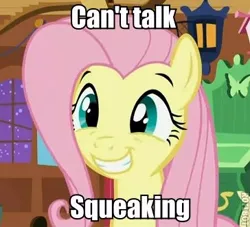 Size: 364x330 | Tagged: safe, derpibooru import, edit, edited screencap, screencap, fluttershy, pegasus, pony, stare master, caption, image macro, roflbot, solo, squee