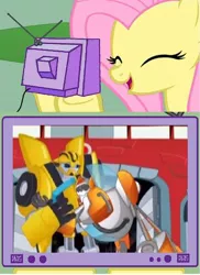 Size: 438x602 | Tagged: safe, derpibooru import, fluttershy, pony, blades, bumblebee, exploitable meme, meme, transformers, transformers rescue bots, tv meme