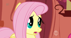 Size: 500x271 | Tagged: safe, derpibooru import, screencap, fluttershy, pegasus, pony, animated, eye shimmer, female, folded wings, gif, hub logo, indoors, looking at something, looking away, mare, open mouth, solo, wings